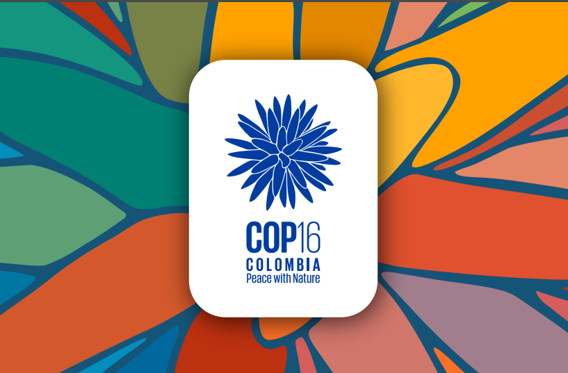 COP16 – Ensuring That Indigenous Peoples And Local Communities Play A ...